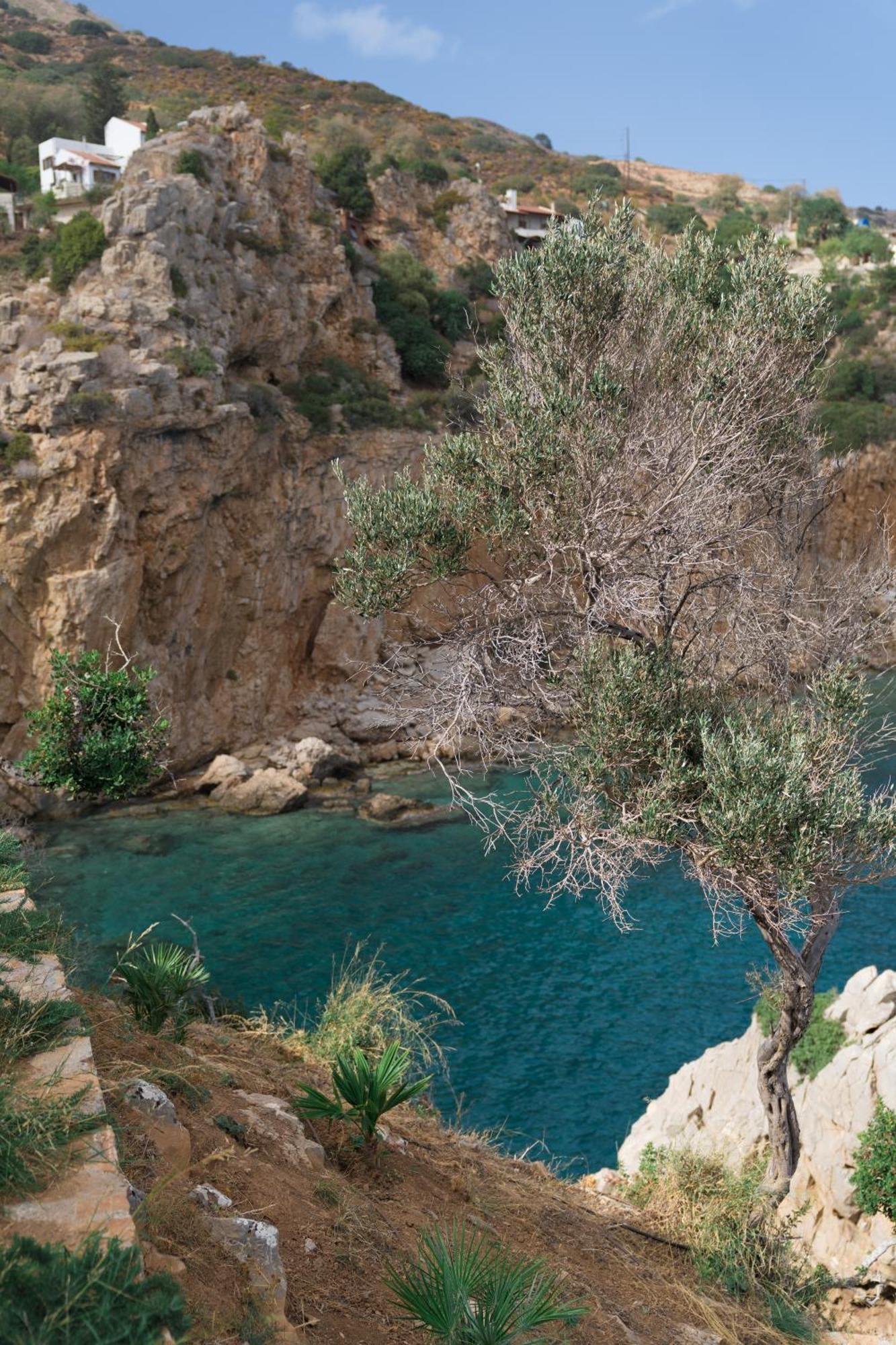 Villa Meltemi Crete Héraklion